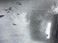 Audi A5 S-line Coupe Cabrio B8 Lift 2012-2015 Front Bumper 4 Pdc Genuine [a960]