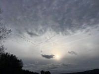 BMW 3 Series M Sport G20 Saloon Only 2019-2023 Rear Bumper 6 Pdc Genuine [B271]