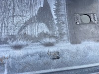 Ford Fiesta St Line Mk8 Hatchback 2017-2022 Rear Bumper 4 Pdc Genuine [f834]