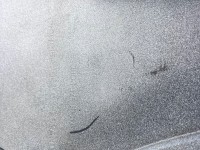 Jaguar I Pace Electric Suv 2018 - 2024 Front Bumper 6 Pdc Genuine [p604]