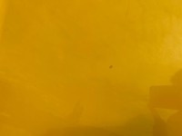 Mclaren Mp4 12c 2011-2014 Bonnet Aluminium Yellow Genuine Mclaren Mp4 12c 2011-2014 Bonnet Aluminium Yellow Genuine