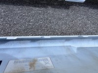 Renault Trafic Sport Plus Passenger 2022-2026 Front Bumper 4 Pdc Genuine [r701]