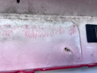 VW Polo Gti R Line Mk6 Hatchback 2021-2024 Front Bumper 4 Pdc Genuine [v504]