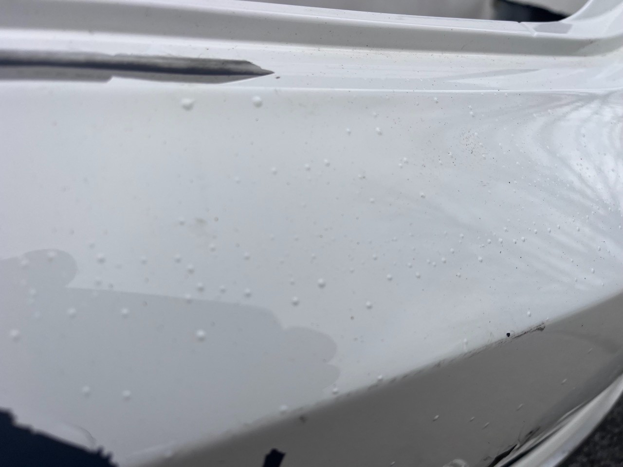 Audi S4 Saloon B9 Pre-lift 2016-2019 Rear Bumper 4 Pdc Genuine [a916]