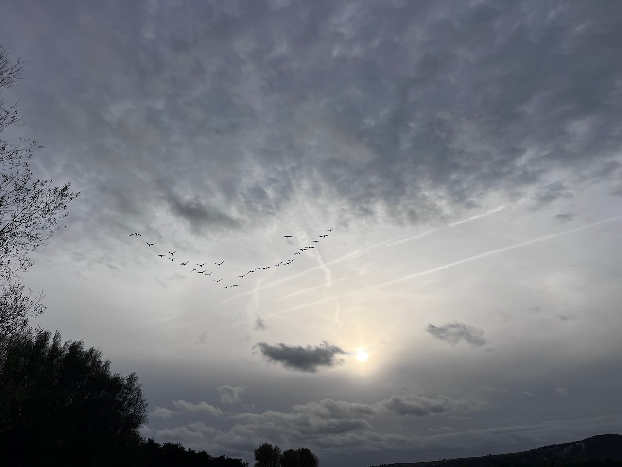 BMW 3 Series M Sport G20 Saloon Only 2019-2023 Rear Bumper 6 Pdc Genuine [B271]